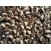 Alasando(Yard Long Beans)-250gms